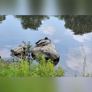 Meet your Posher, Isela